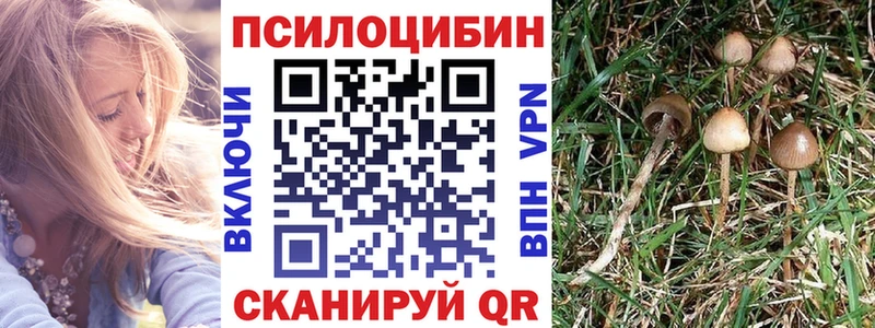 Псилоцибиновые грибы Psilocybe  Советск 