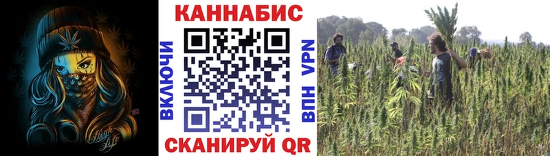 Канабис SATIVA & INDICA  Советск 